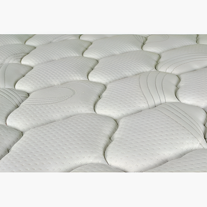 Slumberzone Allure Plush Mattress